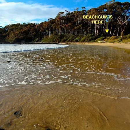 Beachgum Sunshine Bay Exterior photo