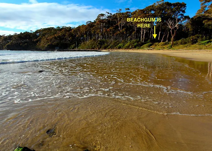 Beachgum